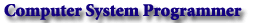 Computer System Programmer