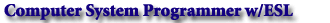 Computer System Programmer w/ESL